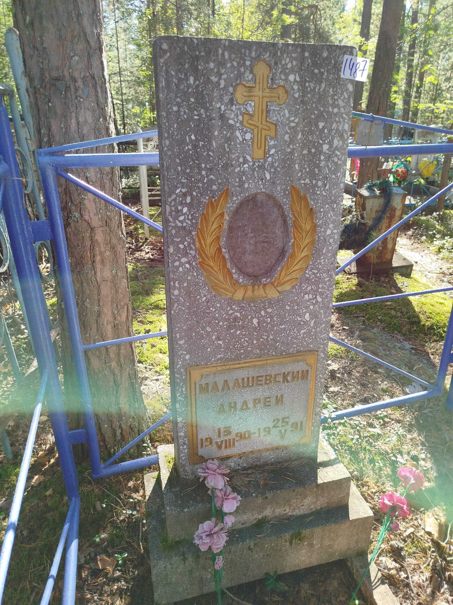 Малащевский Андрей