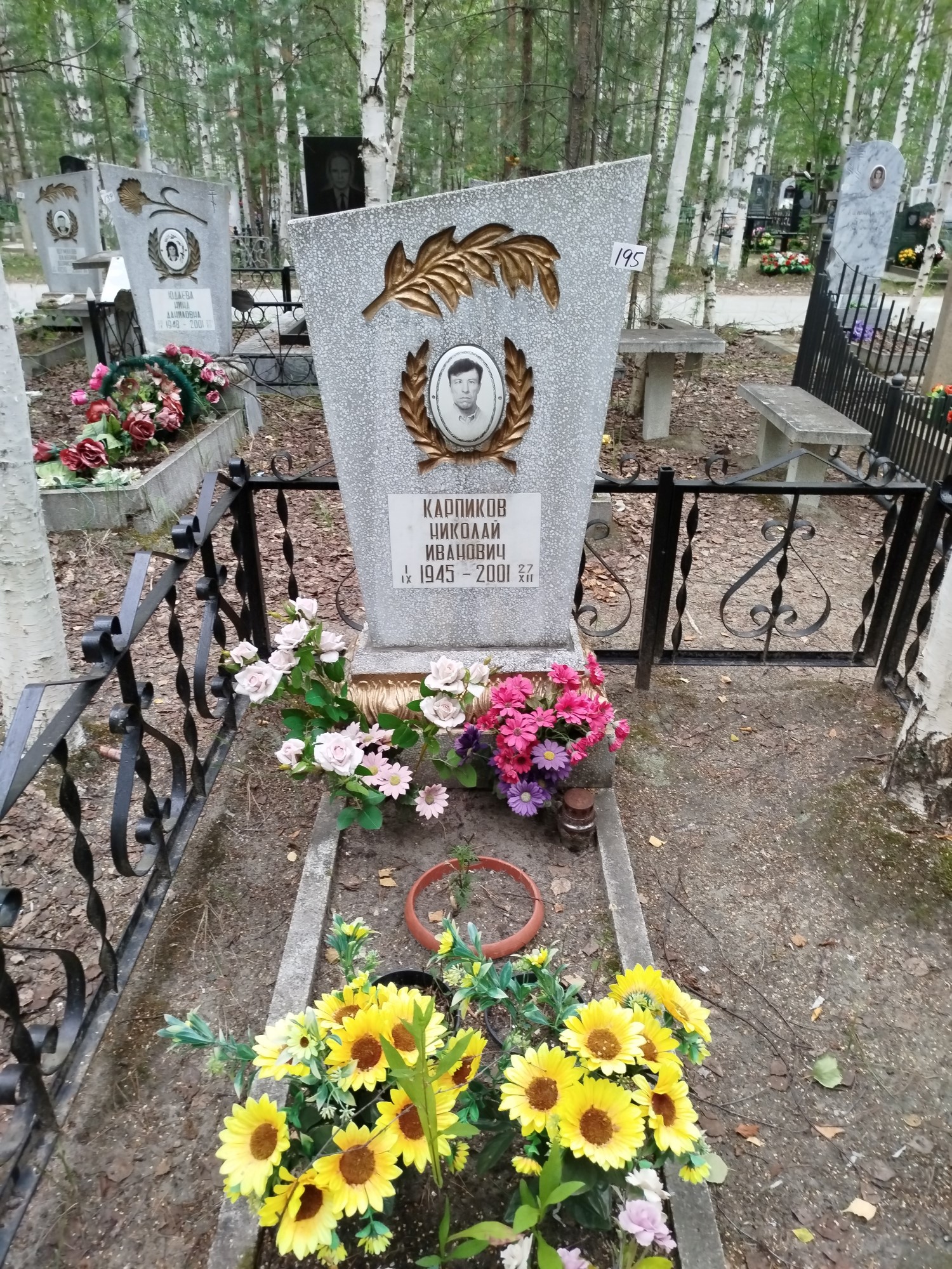 Карпиков Николай Иванович