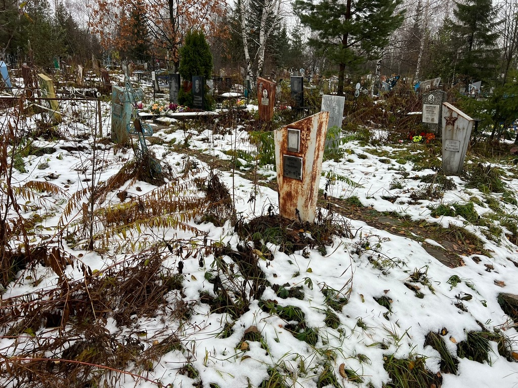 Никитин Борис Михайлович