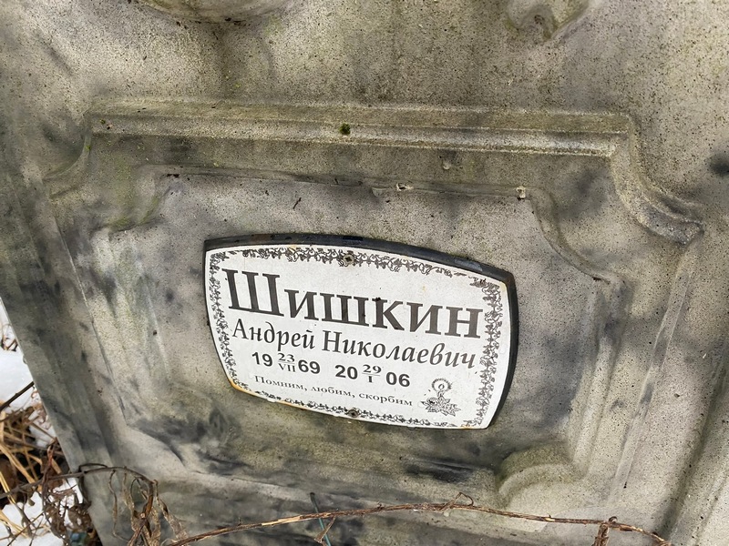 Шишкин