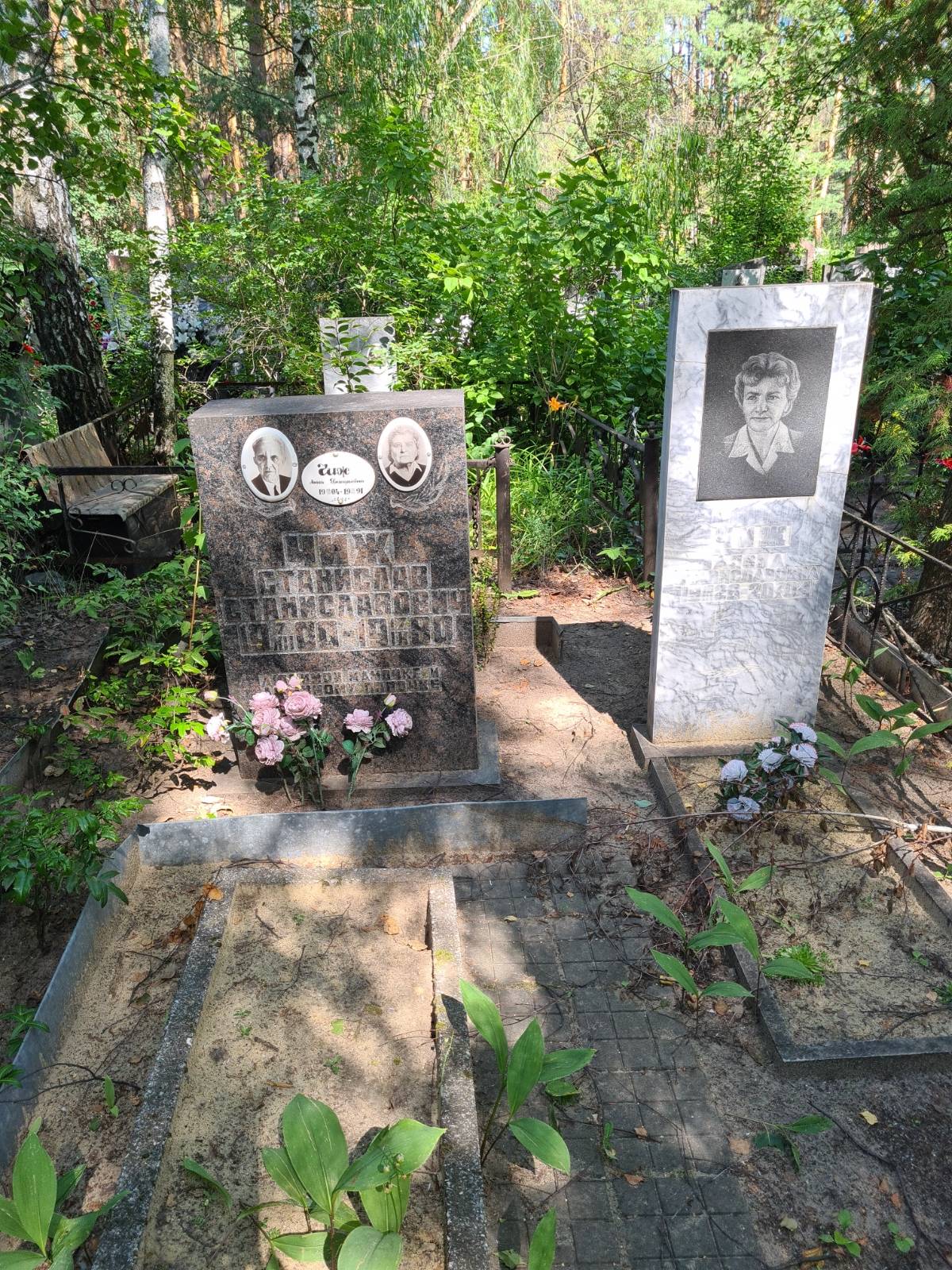 Чиж Алина Станиславовна