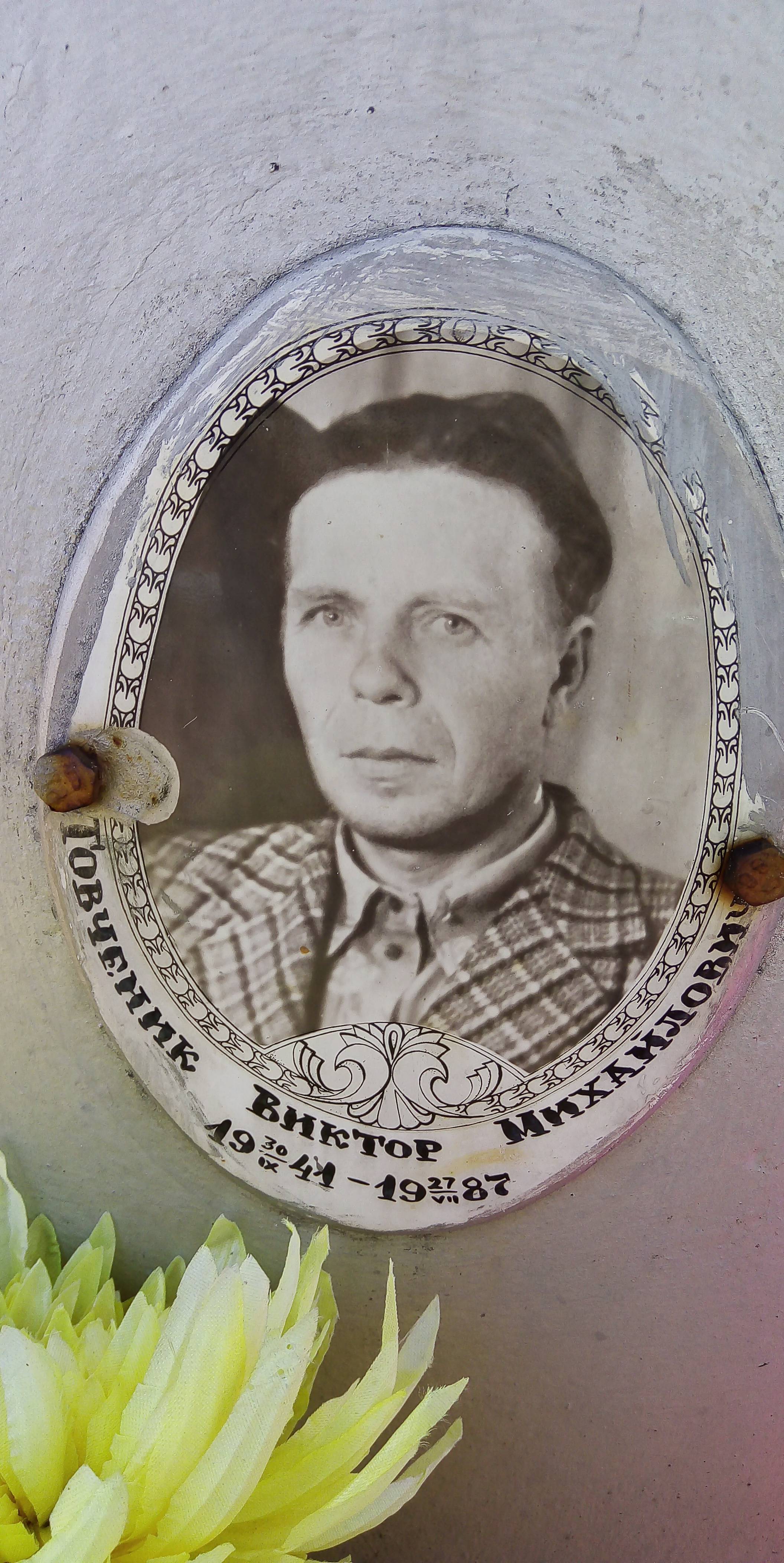 Товченик Виктор Михайлович