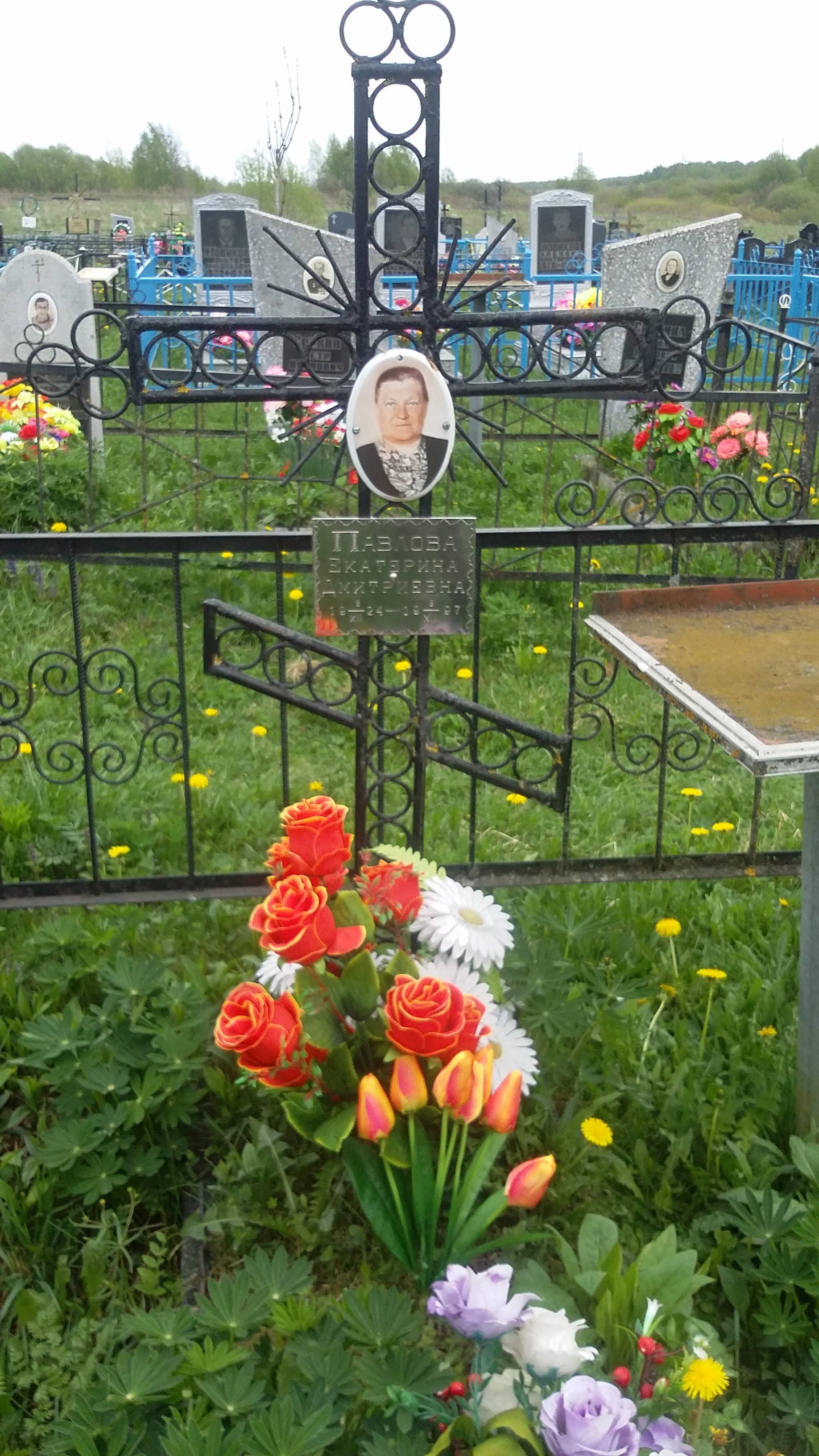 Павлова Екатерина Дмитриевна