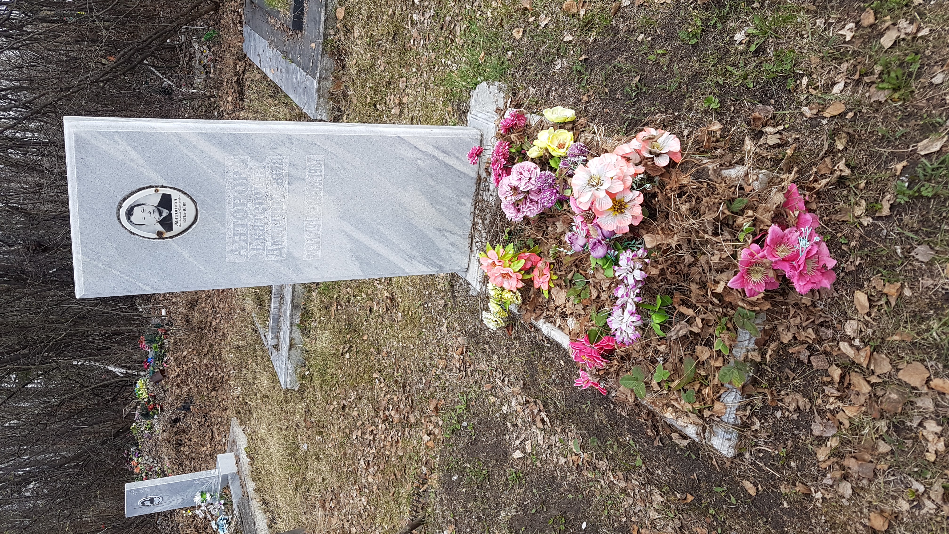 Антонова Екатерина Дмитриевна
