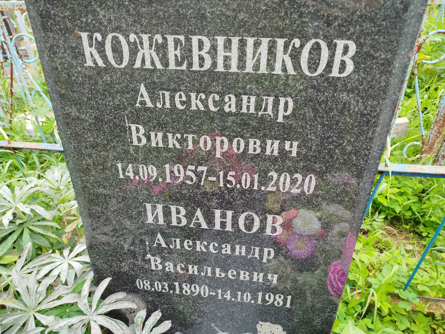 Кожевников