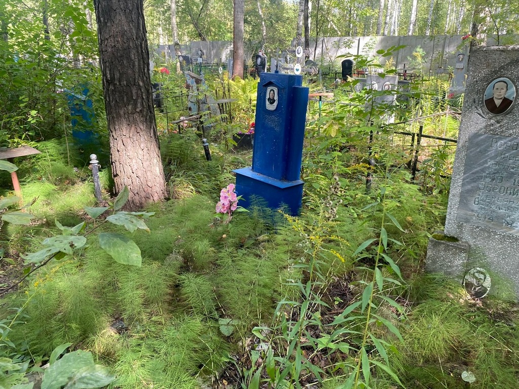 Лобашова Анастасия Петровна