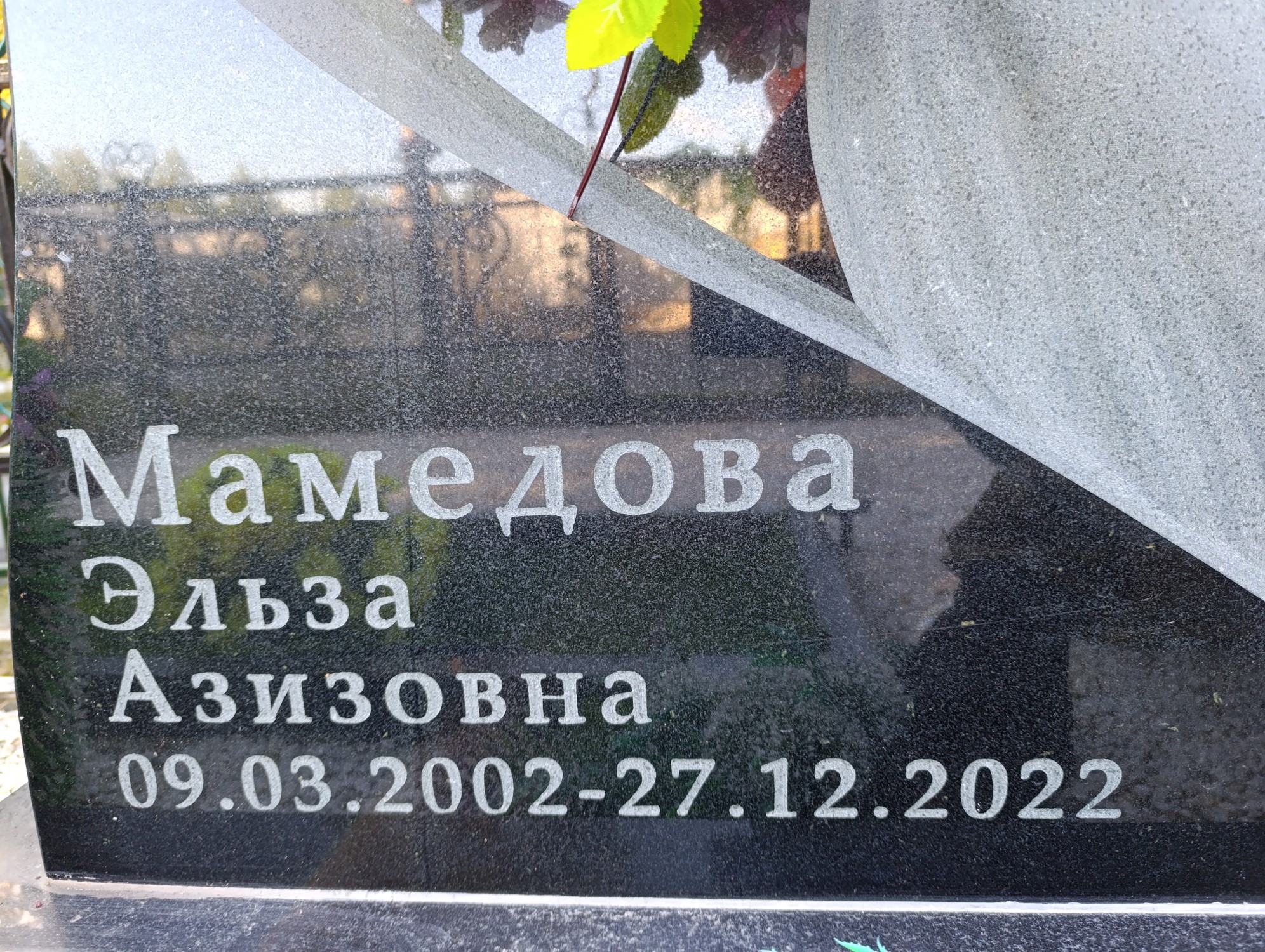 Мамедова Эльза Азизовна