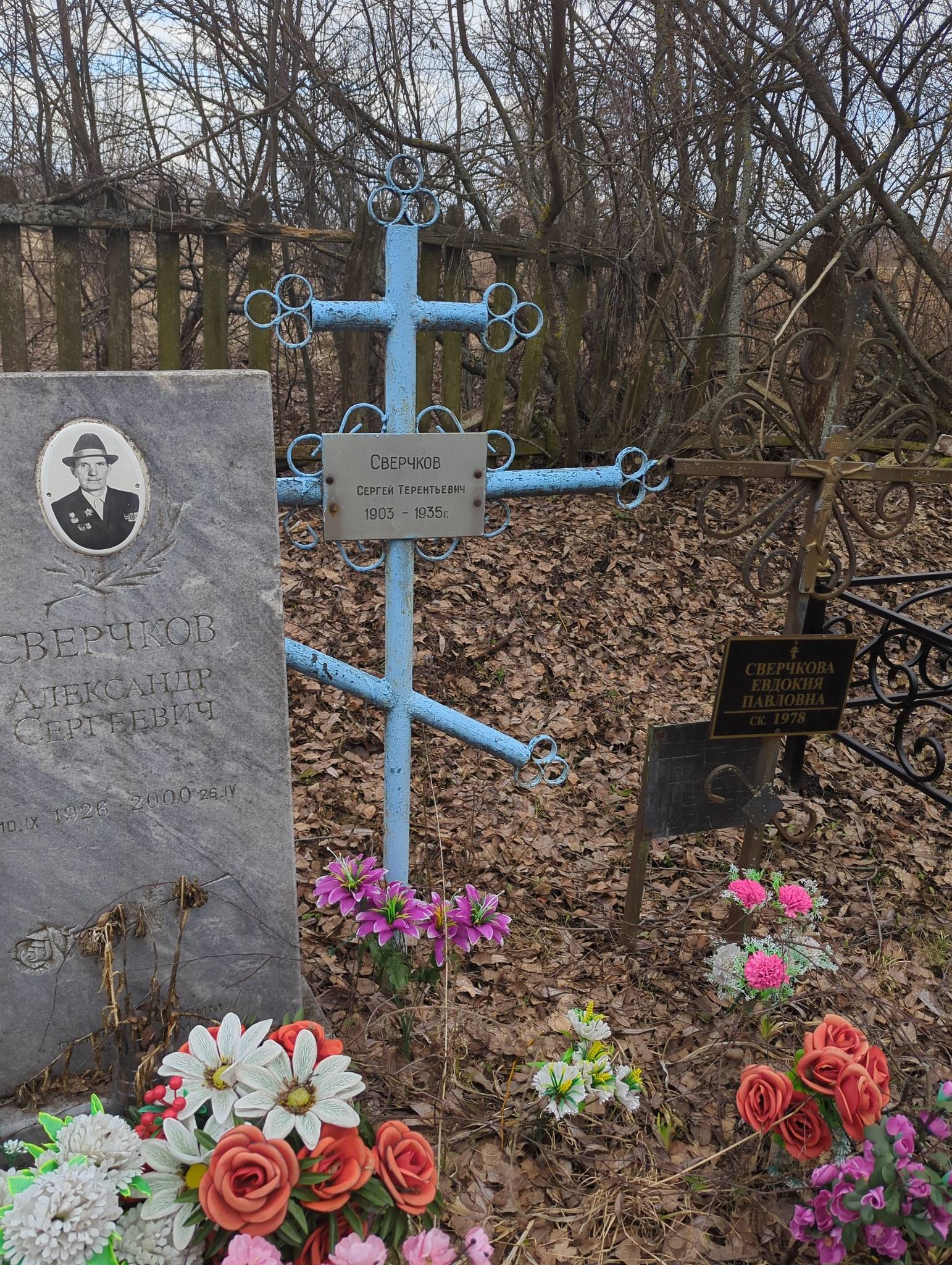 Сверчков Александр