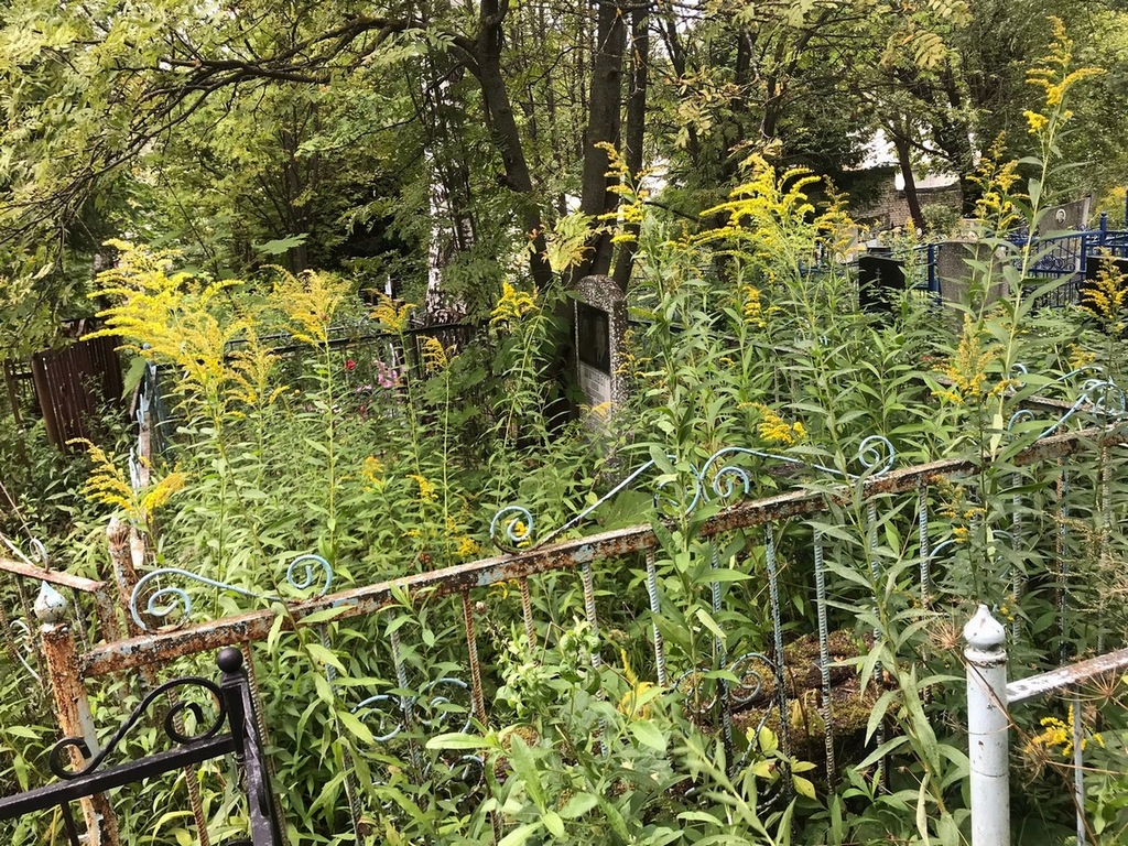 Шутова Анна Федоровна