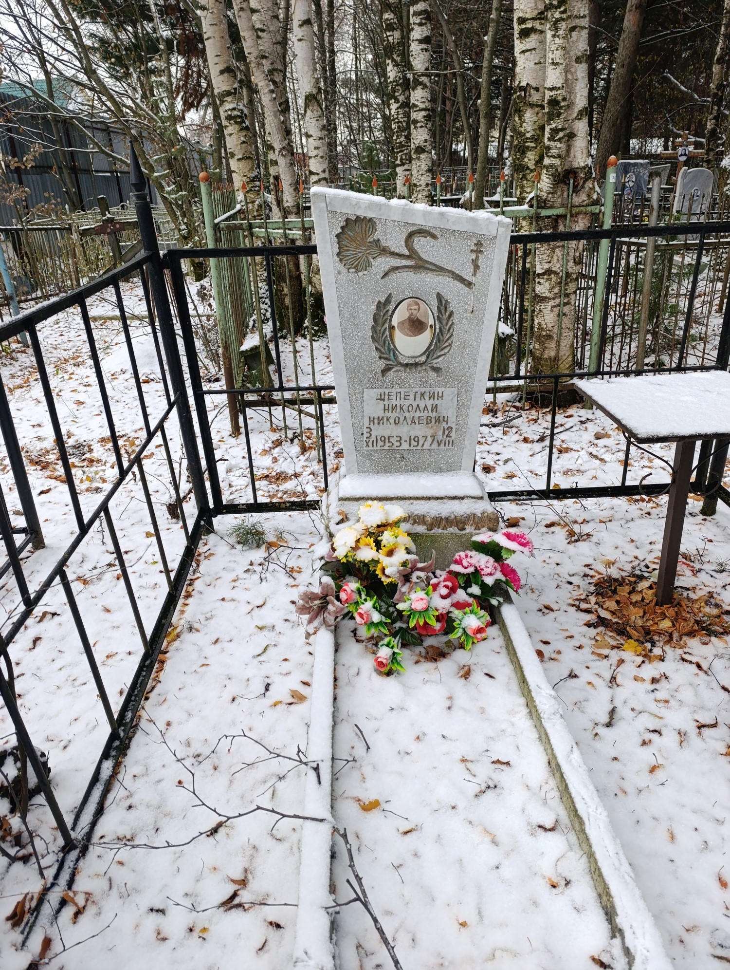 Щепеткин Николай Николаевич