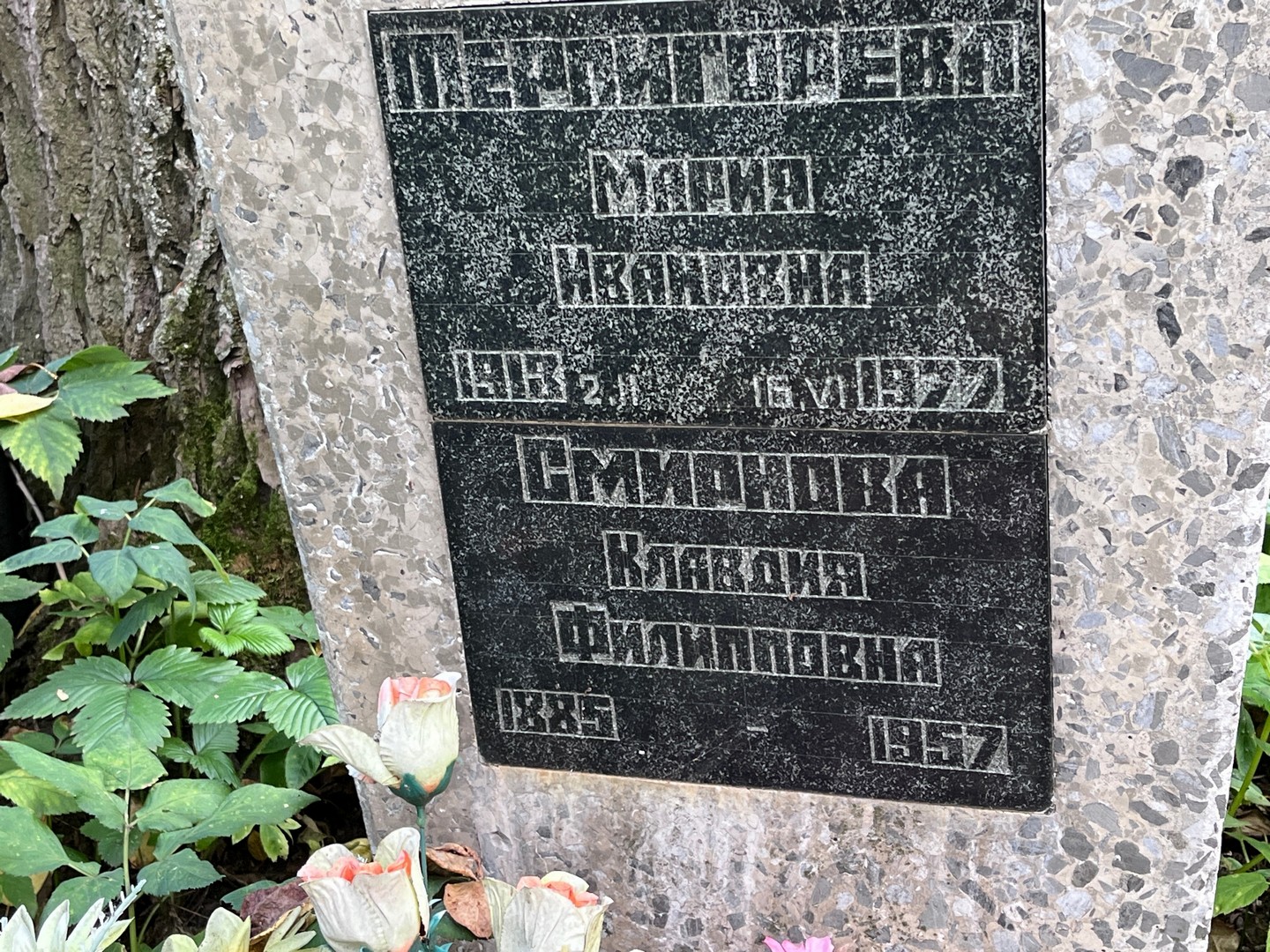 Терпигорева