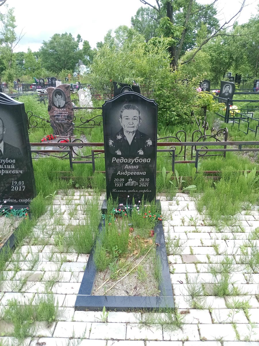 Редозубова Анна Андреевна