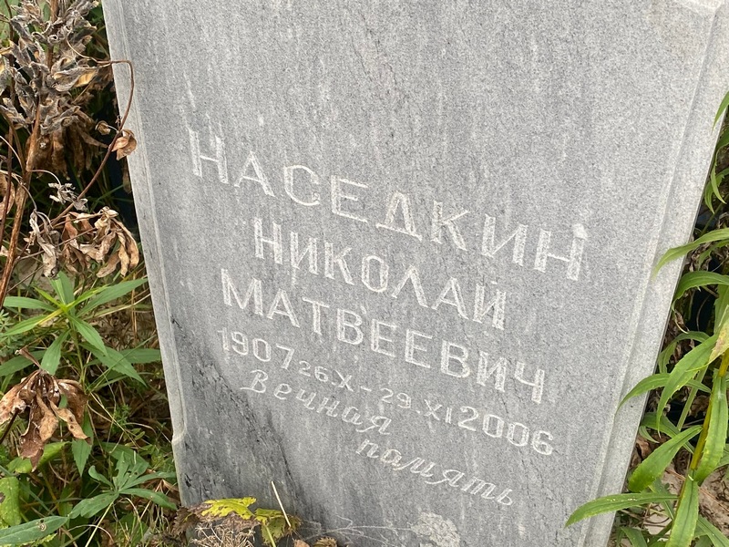 Наседкин