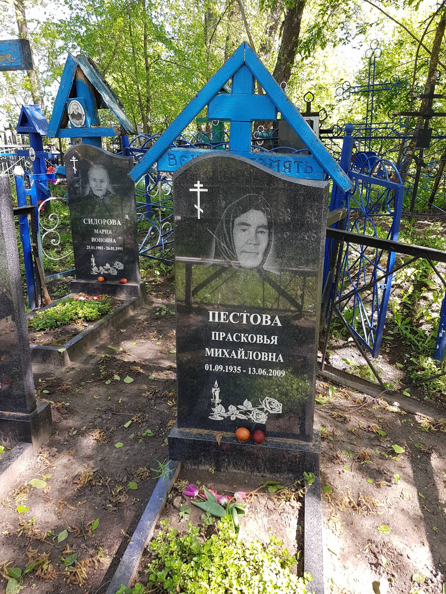 Пестова Прасковья Михайловна