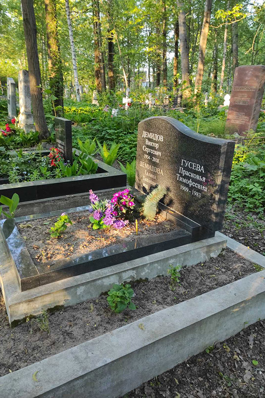 Демидов Виктор Сергеевич
