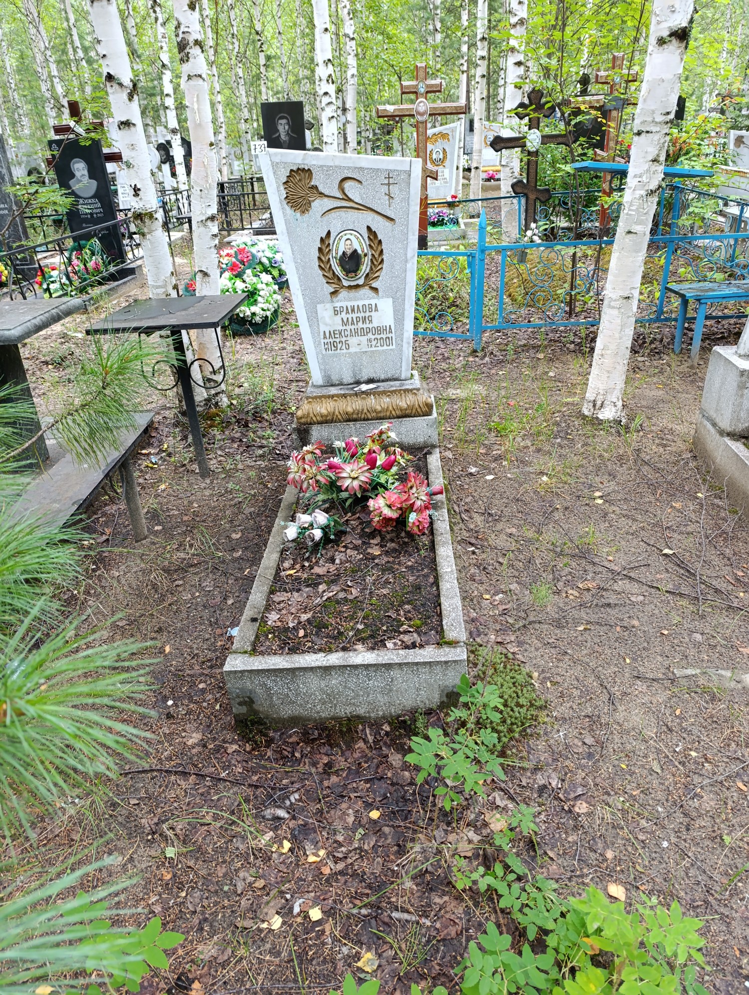 Браилова Мария Александровна