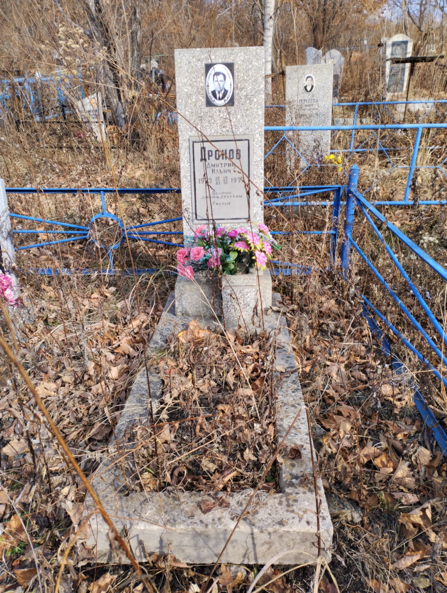 Дронов Дмитрий Ильич