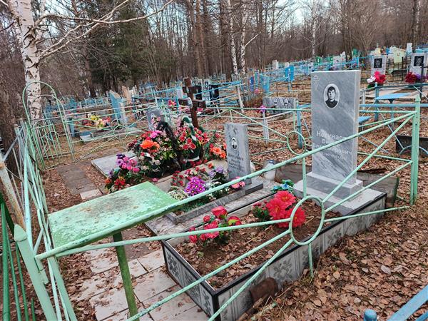Нетунаев Виктор Владимирович