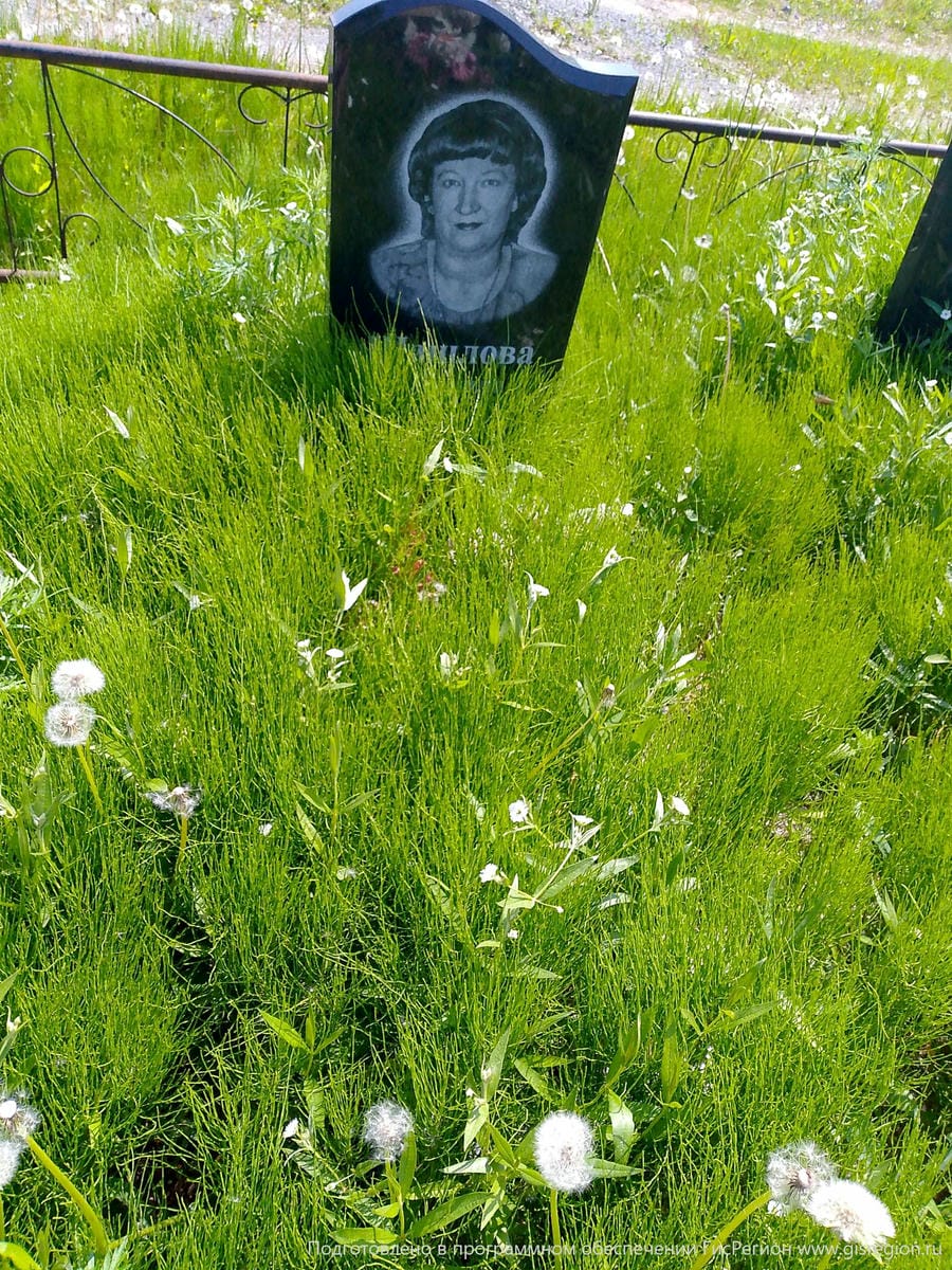 Шашлова Людмила Николаевна