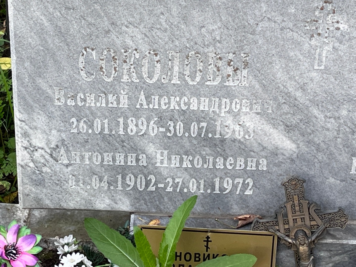 Соколов