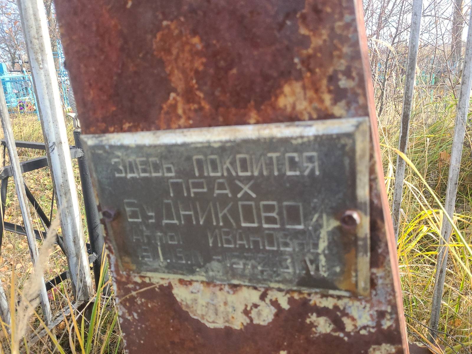 Будникова Анна Ивановна