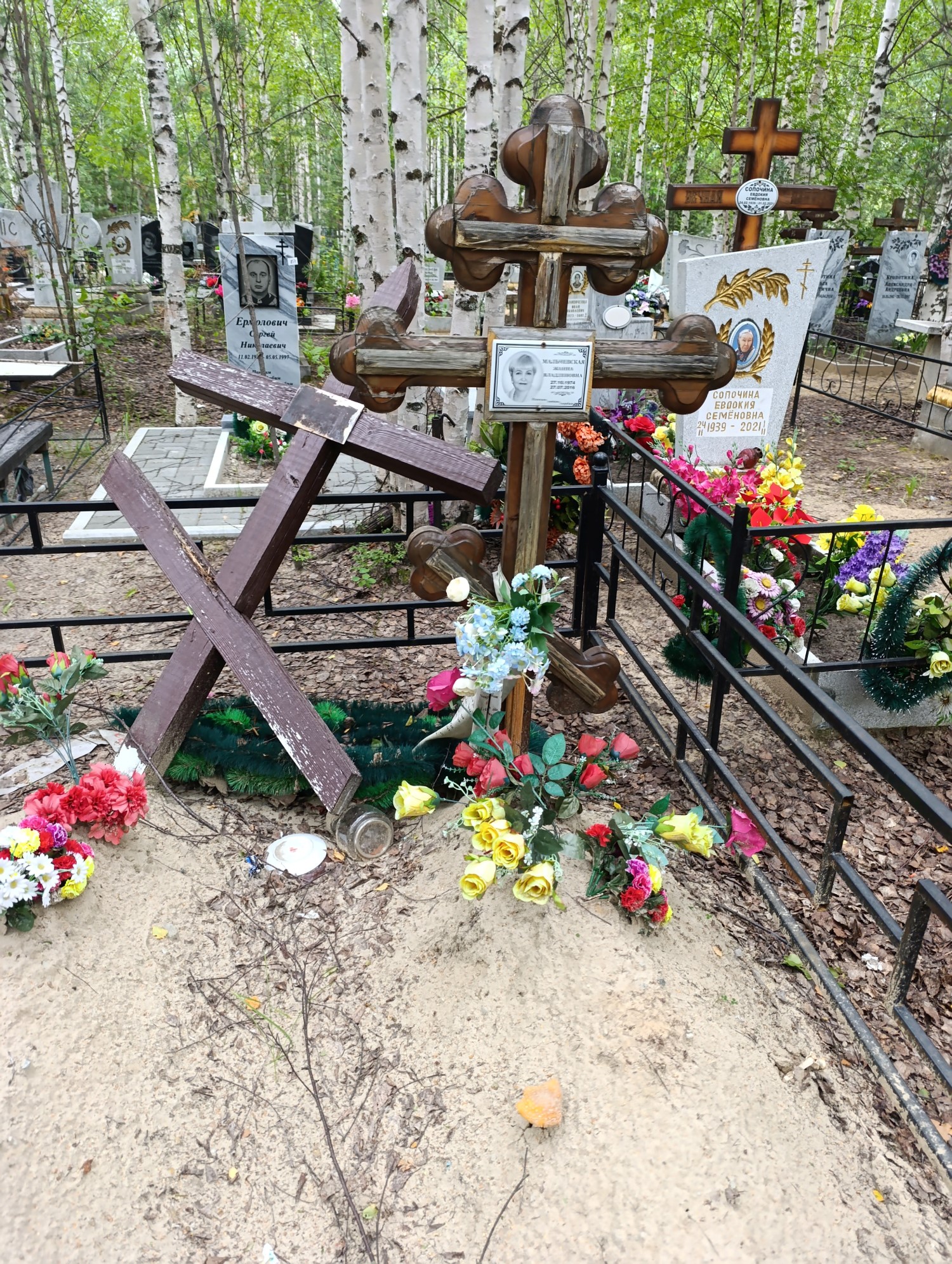 Мальчевская Жанна Владленовна