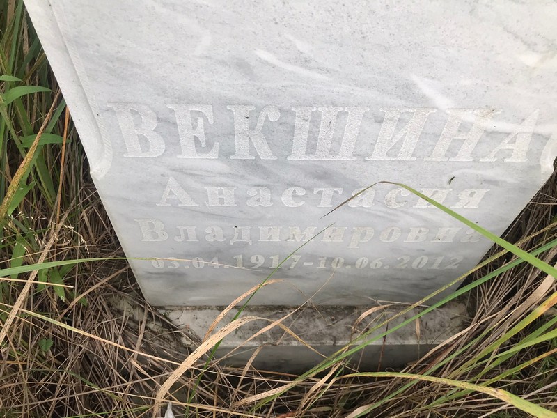 Векишина Анастасия Владимировна