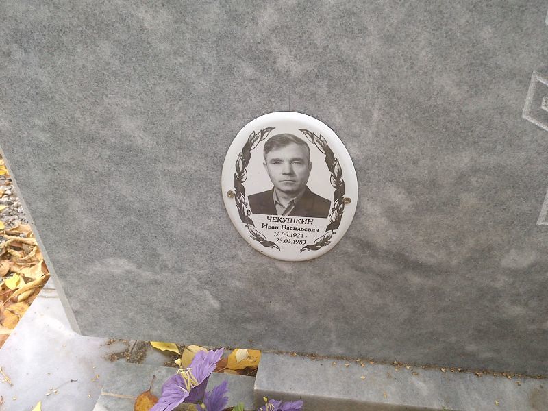 Чекушкин