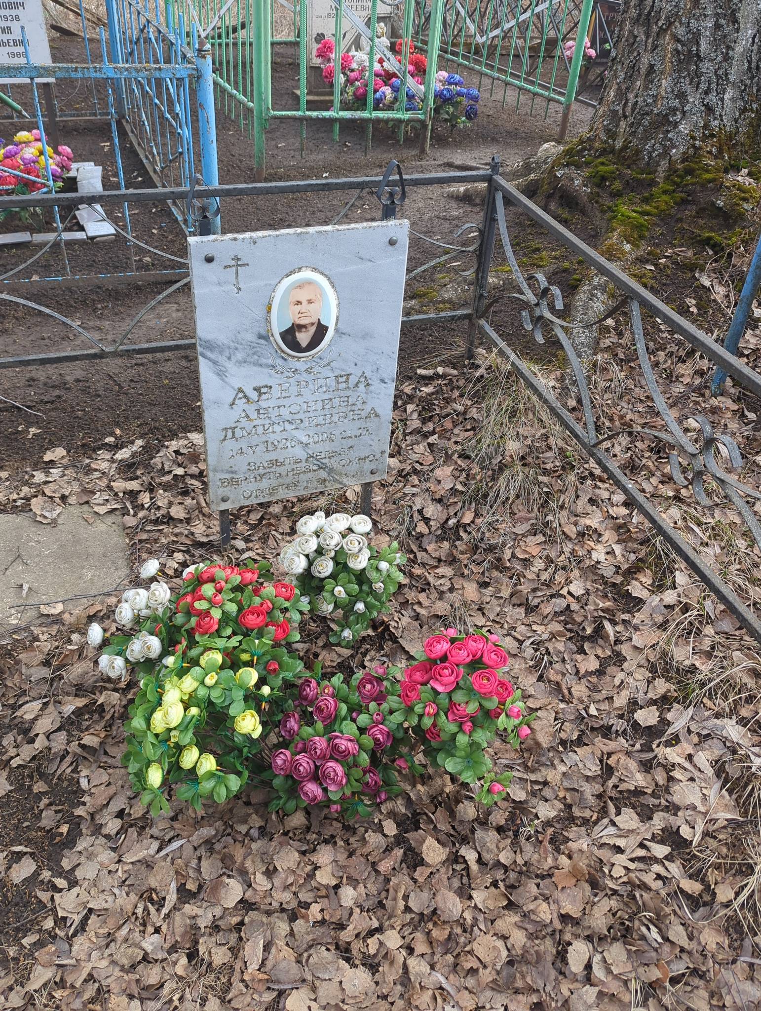 Аверина Антонина Дмитриевна