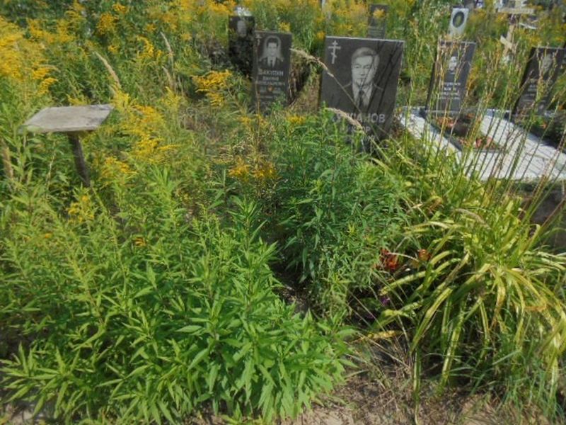Курланов Виктор Иванович