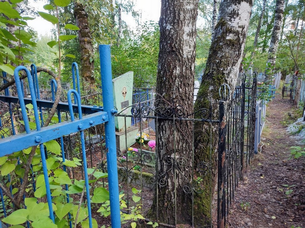 Вершинин Николай Васильевич