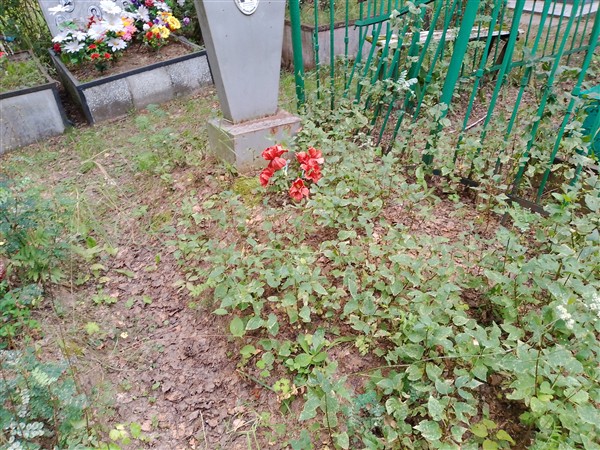 Смышляев Виктор Иванович
