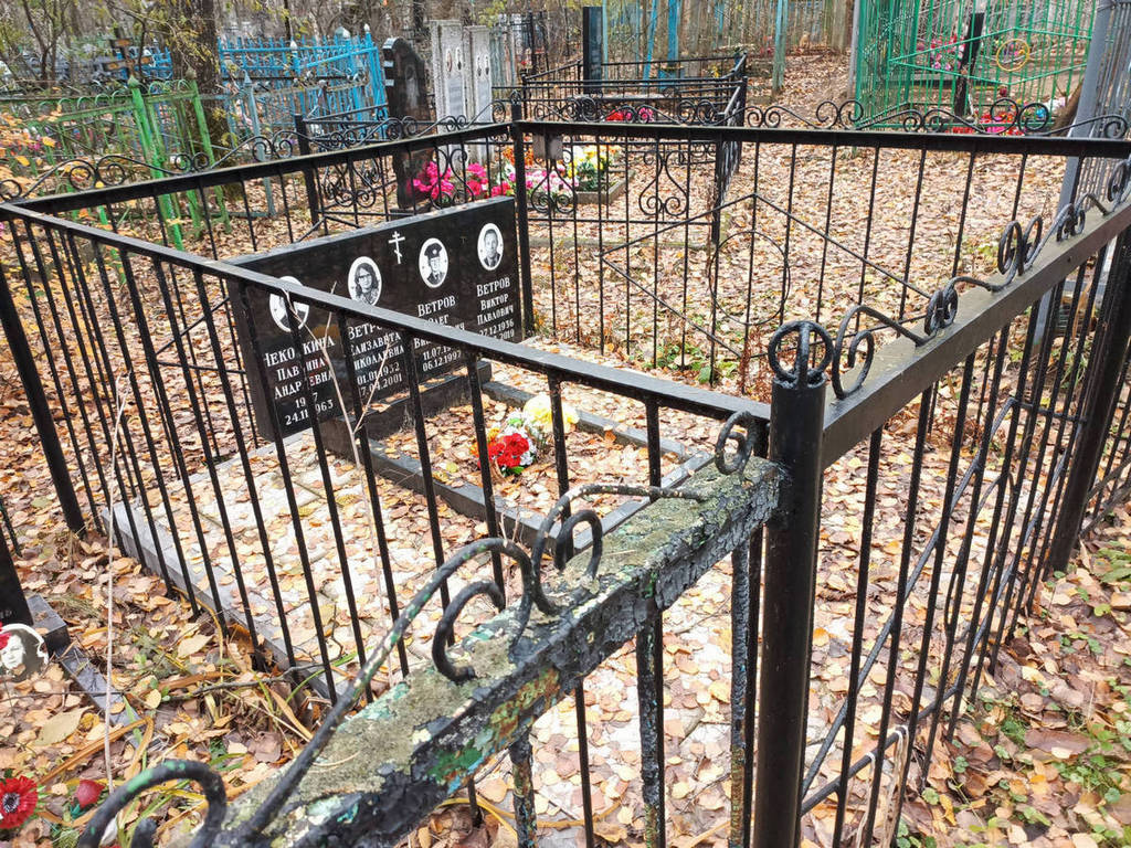 Некоркина Павлина Андреевна