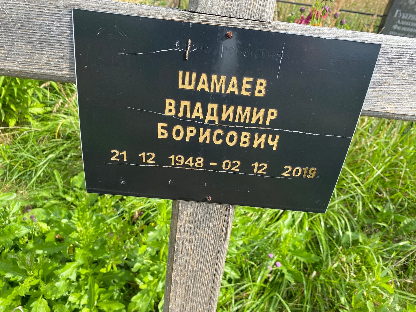 Шамаев