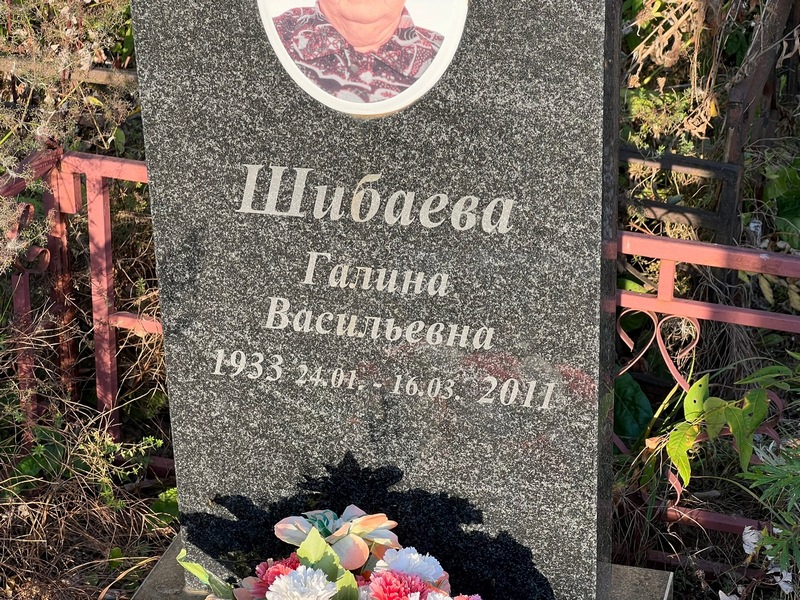Шибаева