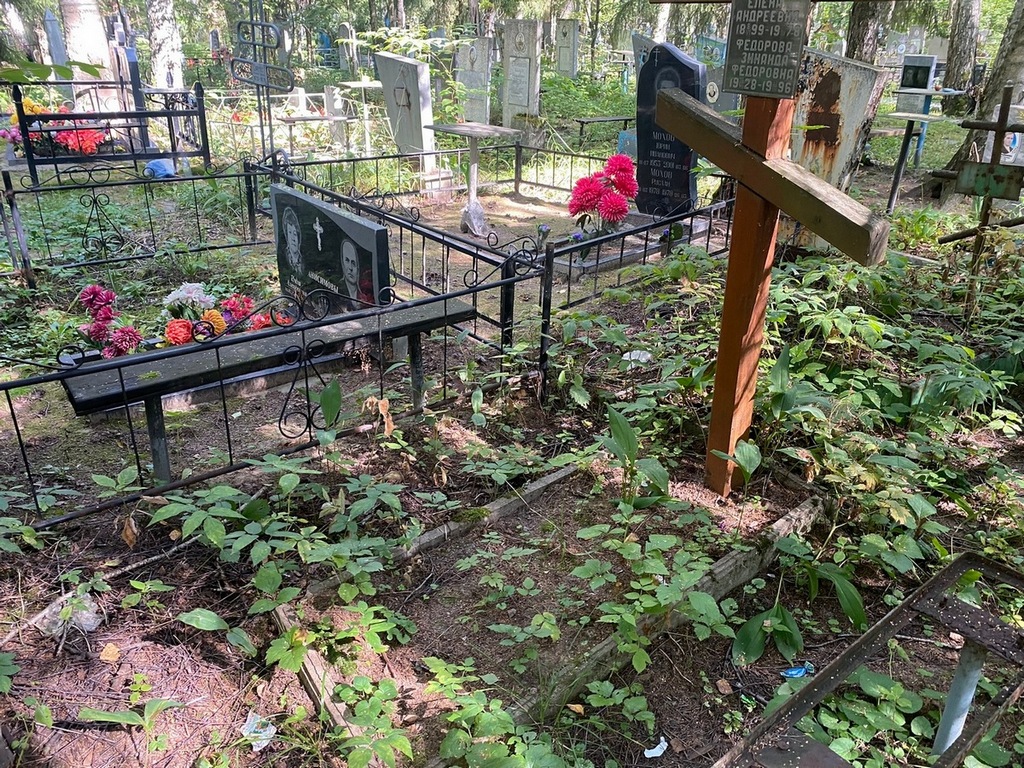 Шелепова Елена Андреевна