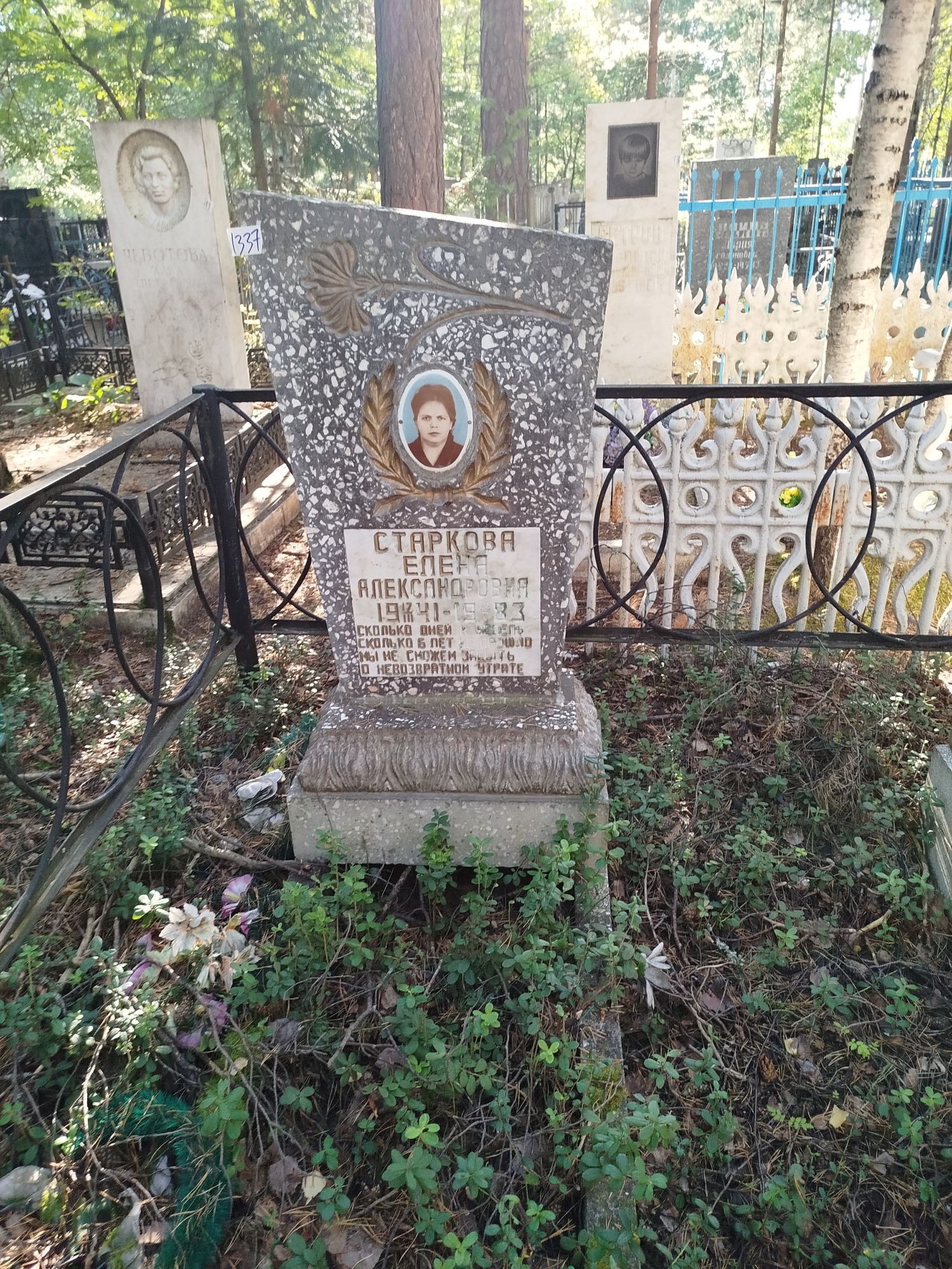 Старкова Елена Александровна