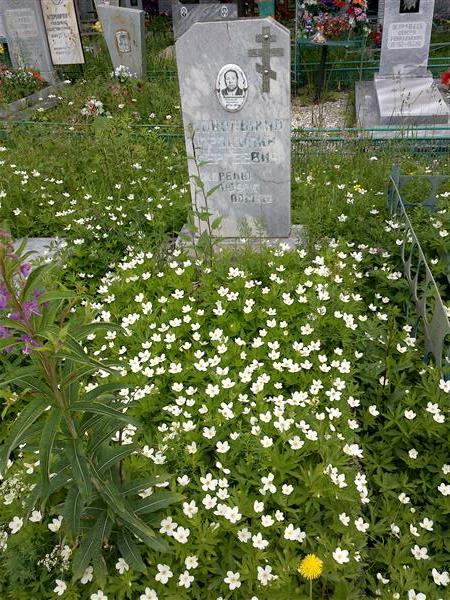 Кононыхин Прокопий Сергеевич