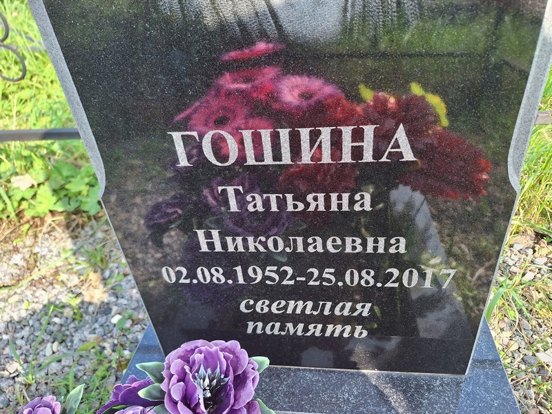 Гошина