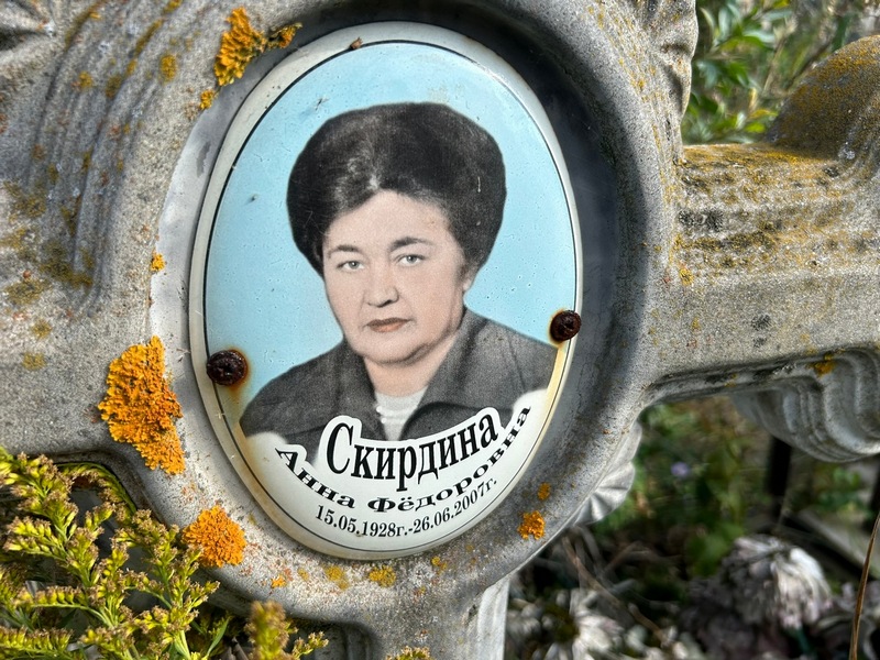 Скирдина