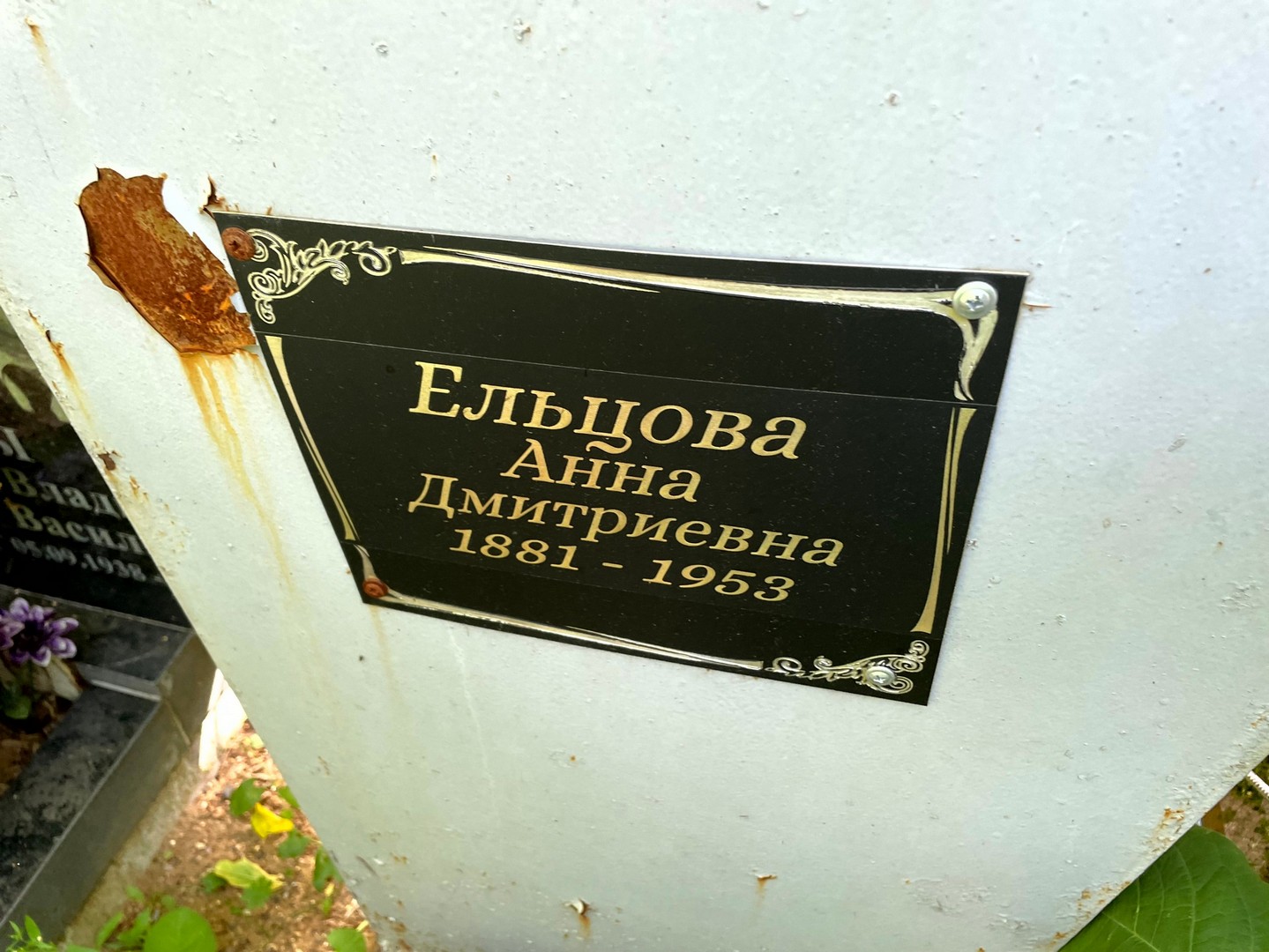 Ельцова