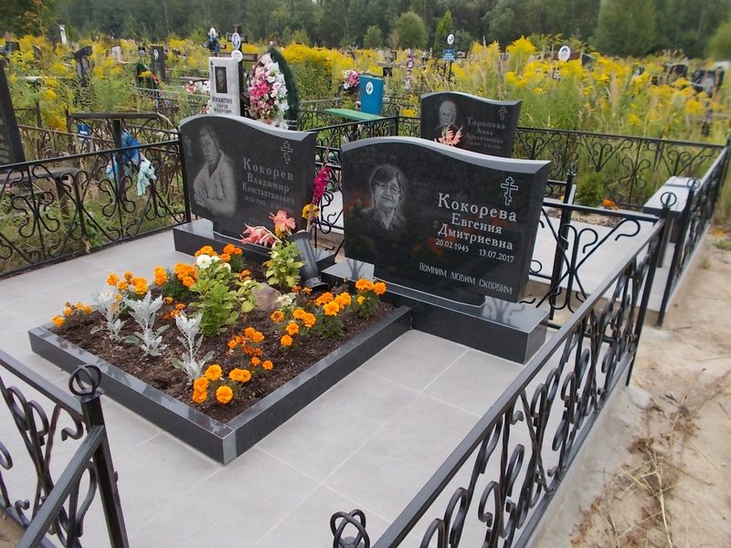 Кокорева Евгения Дмитриевна