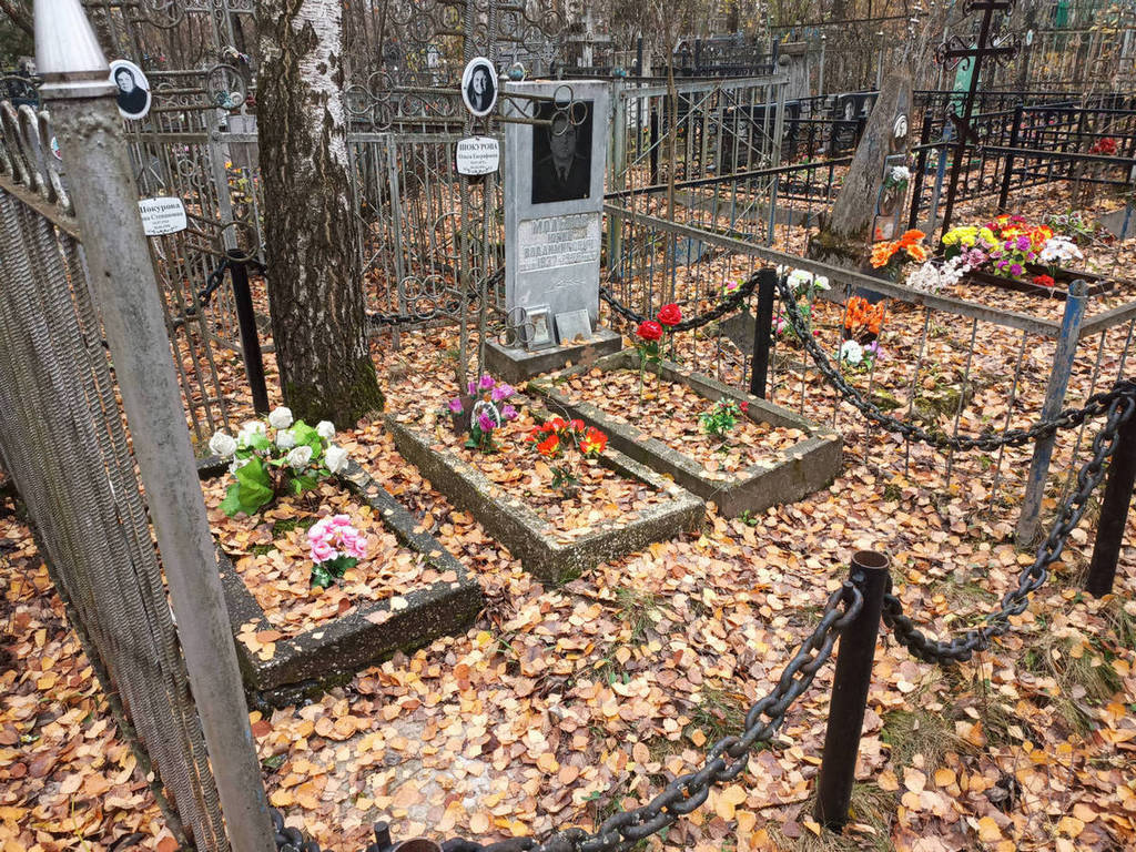 Шокурова Анна Степановна