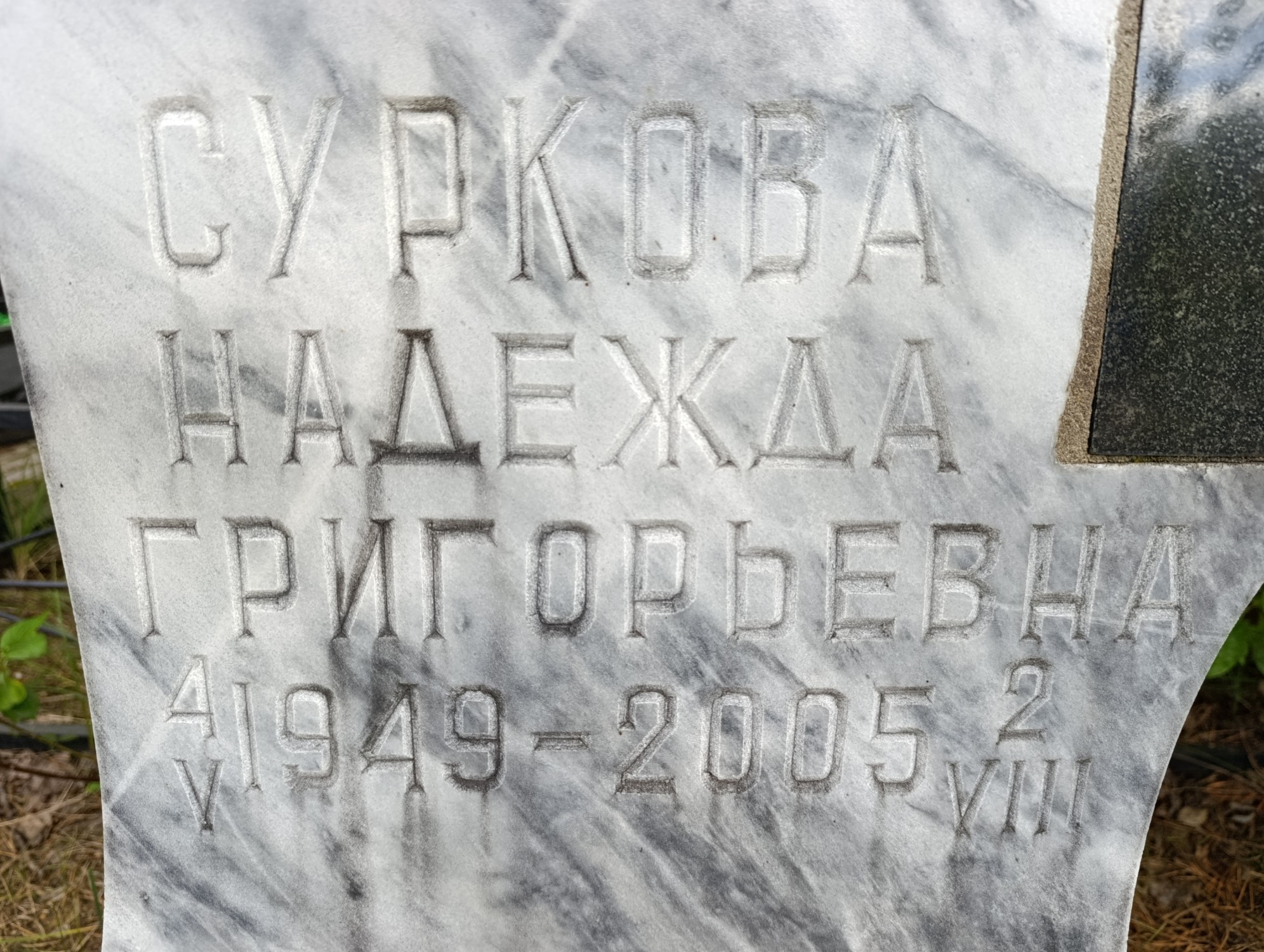 Суркова Надежда Григорьевна