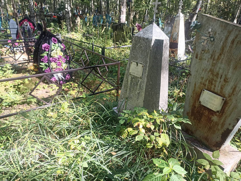 Краснова Анна Сергеевна
