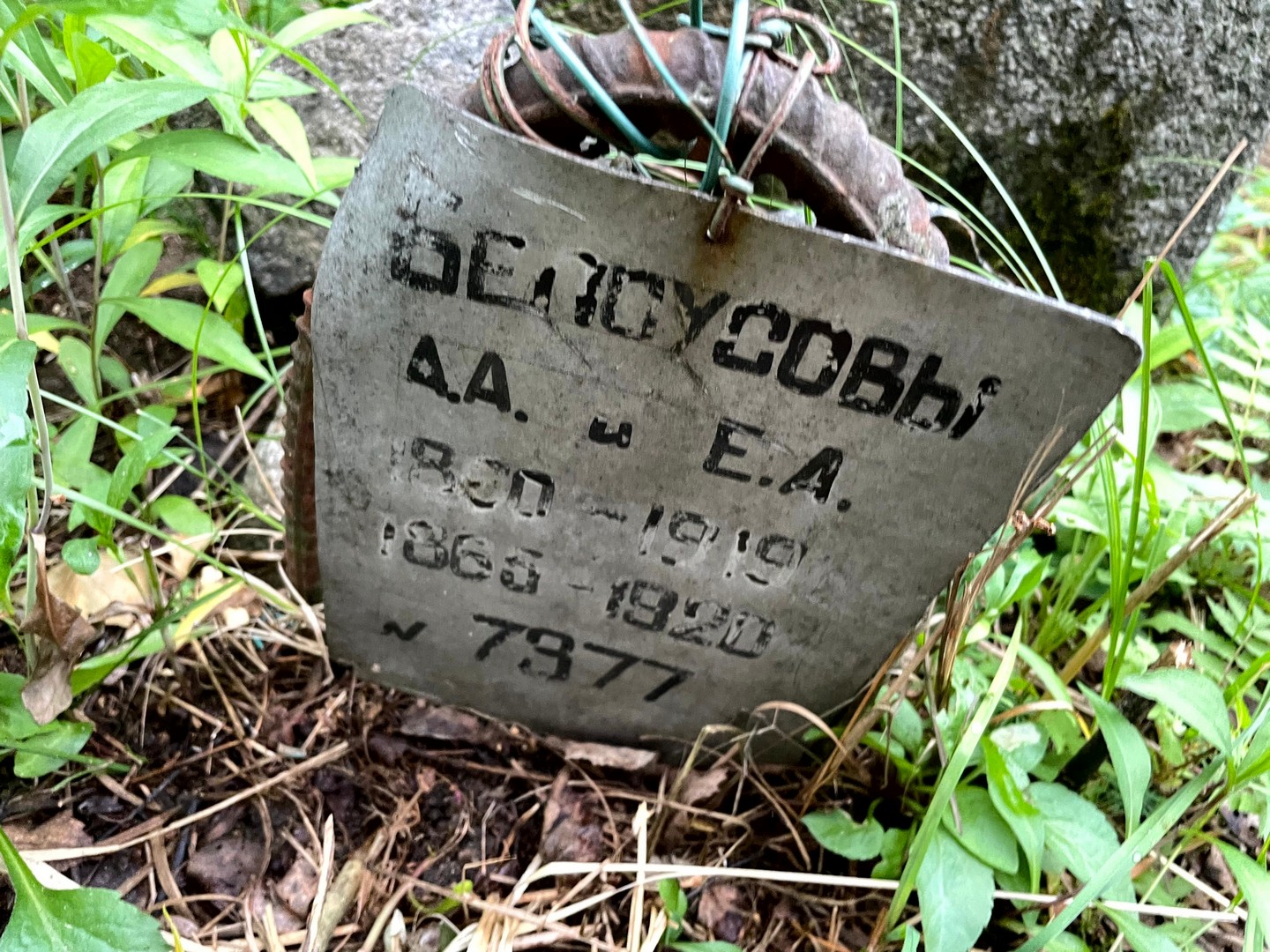 А Белусов А