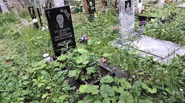 Гулешов Иван Андреевич