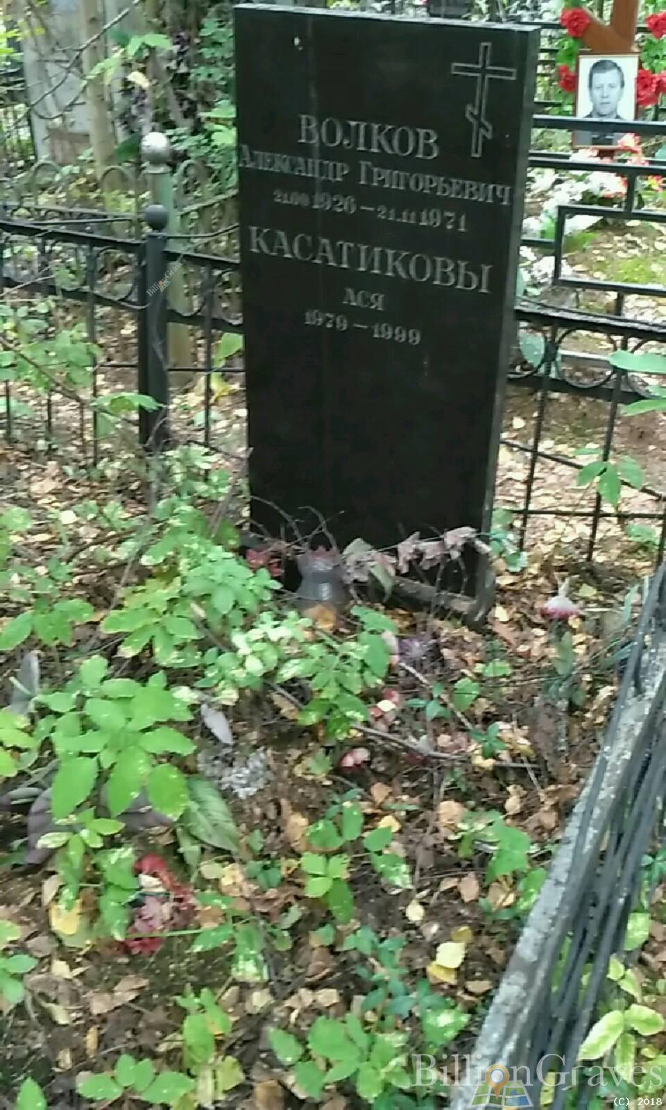 Волков Александр Григорьевич