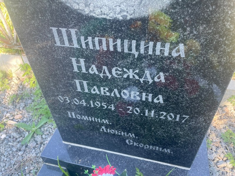 Шипицина