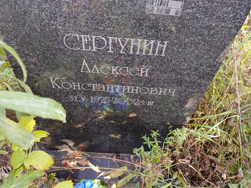 Сергунин